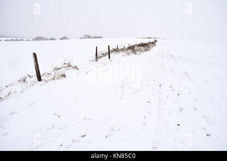 Cannock Chase, UK. 10. Dezember, 2017. Cannock Chase und die umliegenden Bereiche mit starker Schneefall in der gesamten Sonntag, den 10. Dezember 2017 behandelt. Schulen sind für Montag geschlossen, da die Temperaturen zu kämpfen über dem Gefrierpunkt zu erreichen sind, so dass kein Tauwetter in absehbarer Zeit zu erwarten ist. Credit: Daniel James Armishaw/Alamy leben Nachrichten Stockfoto