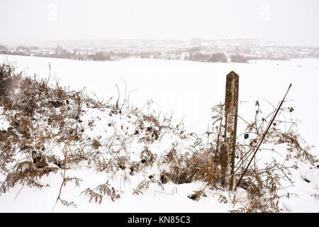 Cannock Chase, UK. 10. Dezember, 2017. Cannock Chase und die umliegenden Bereiche mit starker Schneefall in der gesamten Sonntag, den 10. Dezember 2017 behandelt. Schulen sind für Montag geschlossen, da die Temperaturen zu kämpfen über dem Gefrierpunkt zu erreichen sind, so dass kein Tauwetter in absehbarer Zeit zu erwarten ist. Credit: Daniel James Armishaw/Alamy leben Nachrichten Stockfoto