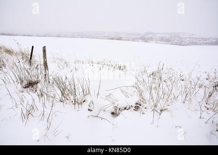Cannock Chase, UK. 10. Dezember, 2017. Cannock Chase und die umliegenden Bereiche mit starker Schneefall in der gesamten Sonntag, den 10. Dezember 2017 behandelt. Schulen sind für Montag geschlossen, da die Temperaturen zu kämpfen über dem Gefrierpunkt zu erreichen sind, so dass kein Tauwetter in absehbarer Zeit zu erwarten ist. Credit: Daniel James Armishaw/Alamy leben Nachrichten Stockfoto