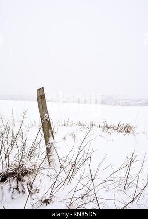 Cannock Chase, UK. 10. Dezember, 2017. Cannock Chase und die umliegenden Bereiche mit starker Schneefall in der gesamten Sonntag, den 10. Dezember 2017 behandelt. Schulen sind für Montag geschlossen, da die Temperaturen zu kämpfen über dem Gefrierpunkt zu erreichen sind, so dass kein Tauwetter in absehbarer Zeit zu erwarten ist. Credit: Daniel James Armishaw/Alamy leben Nachrichten Stockfoto