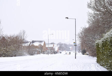 Cannock Chase, UK. 10. Dezember, 2017. Cannock Chase und die umliegenden Bereiche mit starker Schneefall in der gesamten Sonntag, den 10. Dezember 2017 behandelt. Schulen sind für Montag geschlossen, da die Temperaturen zu kämpfen über dem Gefrierpunkt zu erreichen sind, so dass kein Tauwetter in absehbarer Zeit zu erwarten ist. Credit: Daniel James Armishaw/Alamy leben Nachrichten Stockfoto
