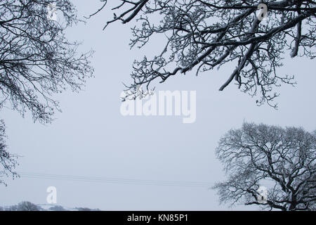 West Wales, UK. Land fegte mit prognostizierten Schnee, wodurch eine Reihe von Schulen in ländlichen Gebieten zu schließen. Harriet Baggley: Dezember 2017 Stockfoto