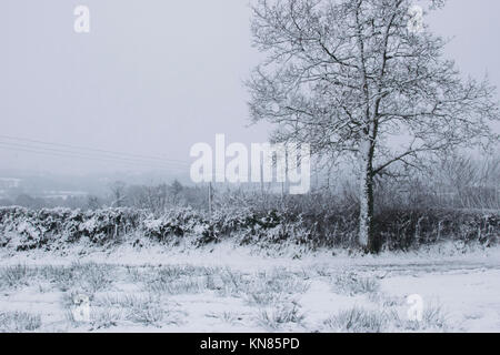 West Wales, UK. Land fegte mit prognostizierten Schnee, wodurch eine Reihe von Schulen in ländlichen Gebieten zu schließen. Harriet Baggley: Dezember 2017 Stockfoto