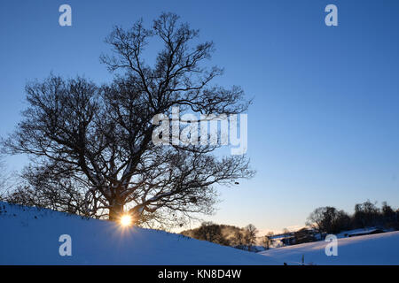 Titley, Herefordshire, UK - Dezember 2017 - Die Sonne beginnt hinter einem Mid winter Eiche in einer Landschaft von tiefem Schnee in der Nähe von Titley in ländlichen Westen Herefordshire zu setzen. Über 25 cm Schnee sitzt auf diesem Hügel. Foto Steven Mai/Alamy leben Nachrichten Stockfoto