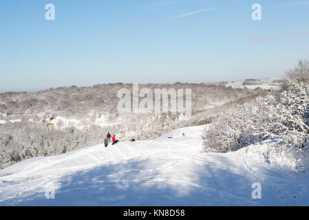 Schneefall an der Böschung von Birdlip, Cotswolds, Gloucestershire, Großbritannien, 11.. Dezember 2017. Wetter. Menschen gehen Hunde im tiefen Schnee. Stockfoto