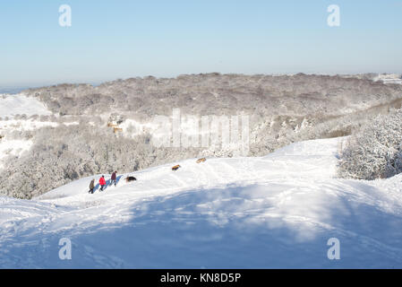 Schneefall an der Böschung von Birdlip, Cotswolds, Gloucestershire, Großbritannien, 11.. Dezember 2017. Wetter. Menschen gehen Hunde im tiefen Schnee. Stockfoto