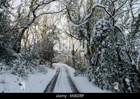 Carmarthenshire Wales UK, Montag, 11. Dezember 2017 Großbritannien Wetter: Eisige Straßenverhältnisse herrschen in vielen Teilen der ländlichen Wales nach schweren Schnee am Sonntag. KATHY DEWITT Stockfoto