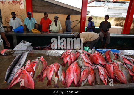 Victoria Fischmarkt Mahe Island Seychellen Stockfoto