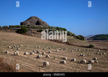 Alten megalithischen Serra Orrios nuragischen Dorf in Sardinien, Italien Stockfoto