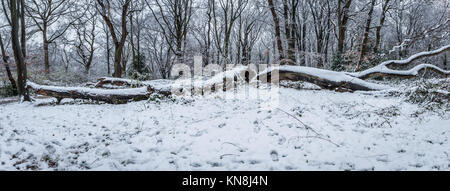 Hampstead Heath abgedeckt im Schnee Stockfoto
