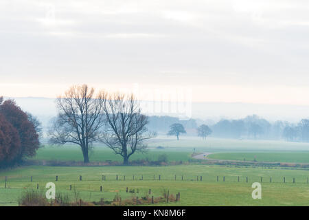 Typische holländische Landwirtschaft Landschaft auf einem Dezember Morgen Stockfoto