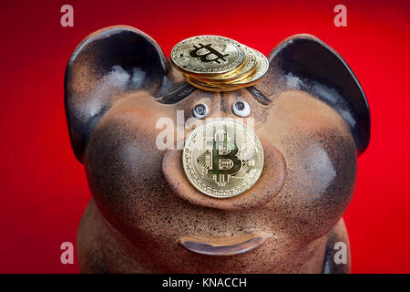 Piggy Bank mit einer Münze der elektronischen crypto Währung Bitcoin, roten Hintergrund. Stockfoto