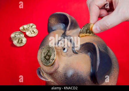 Menschliche Finger senkt bitcoin Münze in Sparschwein Slot, roten Hintergrund. Stockfoto