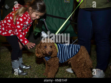 Kiley Fendrick, ein Bewohner auf der Basis, Haustiere ein Hund während des Urlaubs baum Beleuchtung in der Marine Corps Air Station Iwakuni, Japan, Dez. 2, 2017. Der Baum Beleuchtung brachten japanische Einheimische und Amerikaner zusammen für einen Urlaub von der Feier. Mehrere Organisationen, die Stände Geld für ihre Sache zu heben und Live Musik gespielt, während die Marine Corps Community Services Iwakuni kostenlose Kekse und heiße Getränke für die Teilnehmer zur Verfügung gestellt. (U.S. Marine Corps Stockfoto