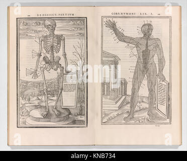 Diese anatomische Illustration aus „de dissectione partium corporis humani libri tres“ zeigt detaillierte menschliche Anatomie und wissenschaftliche Untersuchungen des Körpers. Stockfoto