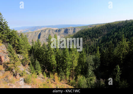 Blick über die Myra Bellevue Park, Holz- Doubles Eisenbahn, Kettle Valley Railway, Myra Canyon, Stadt, Okanagan Region Kelowna, British Columbia, Kanada. Stockfoto