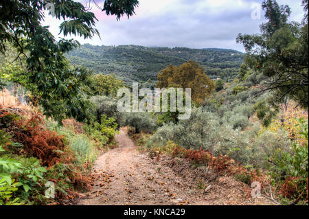 Farbenprächtige Herbstlandschaft auf der Insel Skopelos in Griechenland Stockfoto