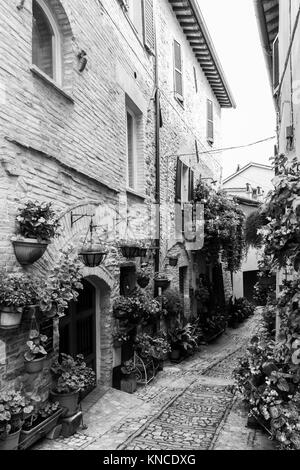 Eine Aussicht auf eine Gasse, die von vielen Blumen in Spello, Umbrien eingerichtet Stockfoto