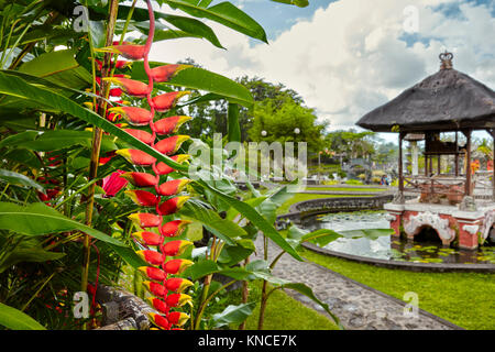 Rote Heliconia-Blume im Garten des Wasserpalastes von Tyrta Gangga. Karangasem regentschaft, Bali, Indonesien. Stockfoto