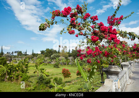 Rot Bougainvillea wächst die Ujung Wasser Palace (Taman Ujung), auch als Sukasada Park bekannt. Karangasem Regency, Bali, Indonesien. Stockfoto