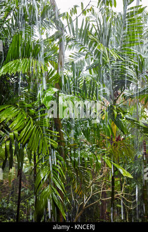 Garten von Candi Beach Resort und Spa während der schweren tropischen Regen. Candidasa, Karangasem Manggis verstiess, Regency, Bali, Indonesien. Stockfoto