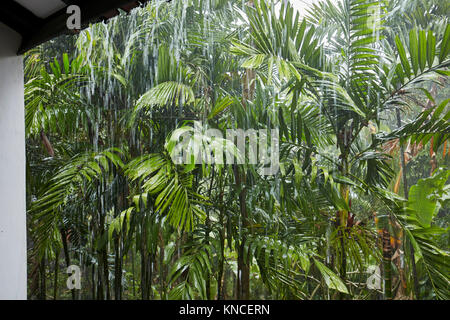 Garten von Candi Beach Resort und Spa während der schweren tropischen Regen. Candidasa, Karangasem Manggis verstiess, Regency, Bali, Indonesien. Stockfoto