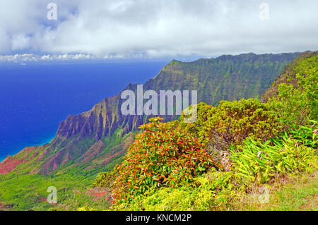 Tropische Vegetation entlang der Na Pali Küste auf Kauai Stockfoto