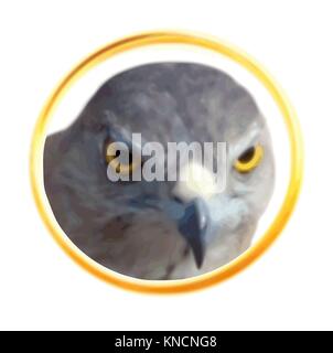 Hawk von Golden Ring vektor Web Icon Abbildung Stock Vektor