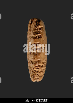 In diesem Amarna-Brief von Aschur-uballit, dem assyrischen König, an den ägyptischen König, sind diplomatische Angelegenheiten zwischen Assyrien und Ägypten während der Amarna-Zeit aufgezeichnet. Stockfoto