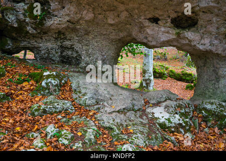 Buchenwälder, Naturpark Urbasa, Navarra, Spanien, Europa Stockfoto