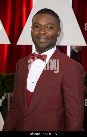 HOLLYWOOD, CA - 22. Februar: David Oyelowo attendst der 87. jährlichen Academy Awards in Hollywood & Highland Center am 22. Februar 2015 in Hollywood, Kalifornien. Personen: David Oyelowo Stockfoto