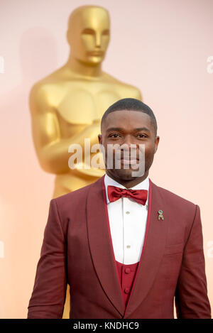 HOLLYWOOD, CA - 22. Februar: David Oyelowo attendst der 87. jährlichen Academy Awards in Hollywood & Highland Center am 22. Februar 2015 in Hollywood, Kalifornien. Personen: David Oyelowo Stockfoto