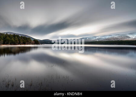 Loch Morlich; Winter Dawn; in der Nähe von Aviemore, Schottland, Großbritannien Stockfoto