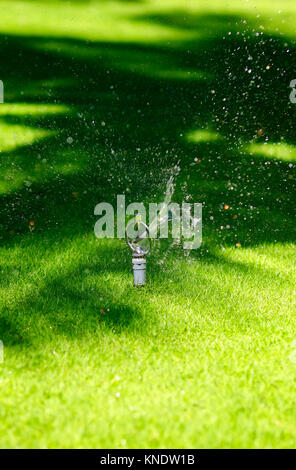 Automatisches Bewässerungssystem für den grünen Rasen, Spritzer Wasser Tropfen hohen Druck in den Morgen Stockfoto
