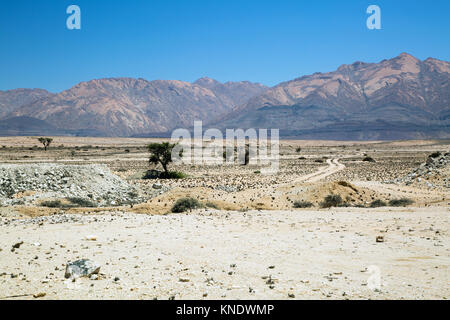 Weiße Landschaft mit Bäumen und Bergen im damaraland Namibia Stockfoto