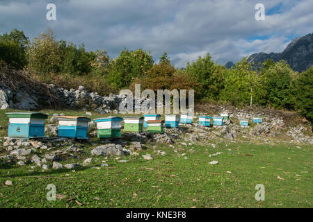 Biene Häuser in der hohen Berg. Stockfoto