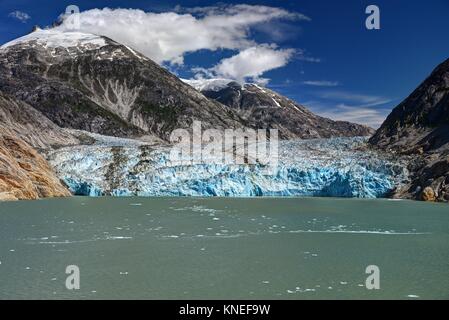 Endicott Glacier, Tongass National Forest, Alaska, Usa Stockfoto