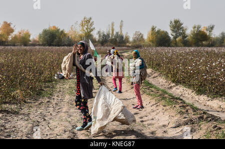 Baumwollpflücker in Chiwa Landschaft, Xorazm Region, Usbekistan, 28. Oktober 2017 Credit © jacopo Casaro/Sintesi/Alamy Stock Foto Stockfoto