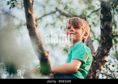 Porträt einer junge sitzt in einem Apfelbaum Stockfoto