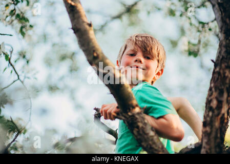 Porträt einer junge sitzt in einem Apfelbaum Stockfoto