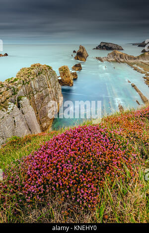 Playa de la Arnia, Santander, Kantabrien, Spanien Stockfoto