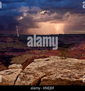 Blitzsturm nähert sich dem Grand Canyon, Arizona, USA Stockfoto