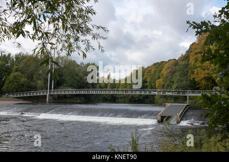 Wandern im Spätherbst Bute Park Cadiff, Wales Stockfoto