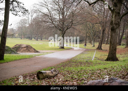 Wandern im Spätherbst Bute Park Cadiff, Wales Stockfoto