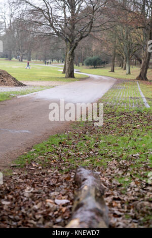 Wandern im Spätherbst Bute Park Cadiff, Wales Stockfoto