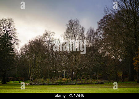 Wandern im Spätherbst Bute Park Cadiff, Wales Stockfoto