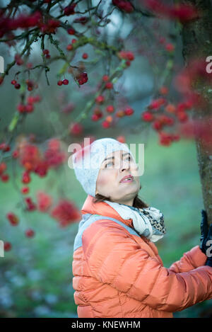 Wandern im Spätherbst Bute Park Cadiff, Wales Stockfoto