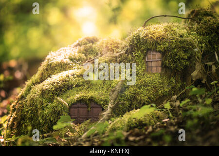 Es ist ein kleines Haus für Feen in den Wald. Es ist Moos und Zweigen, und ein Licht kommt von Innen. Es ist ein magischer Ort in der Morgensonne. Stockfoto