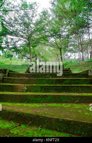 Viele alte Steintreppe bedeckt mit Moos sind oben in den Bergen Stockfoto