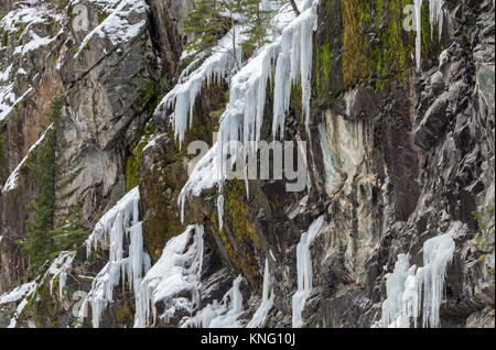 Nahaufnahme der Eiszapfen an den Felsen der Berghang im Winter im North Cascade National Park, Washington, United States. Stockfoto